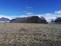 Fahrt entlang der Ostfjorde