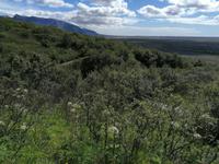 Skaftafell Nationalpark