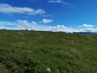 Skaftafell Nationalpark