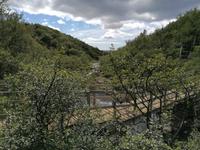 Skaftafell Nationalpark