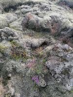 Skaftafell Nationalpark