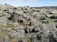 Skaftafell Nationalpark