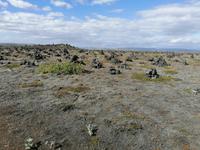 Skaftafell Nationalpark