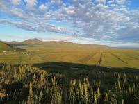 Ausblick vom Hotel Dyholaey