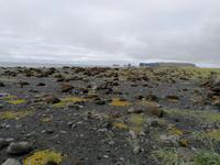 Schwarzer Strand von Vik