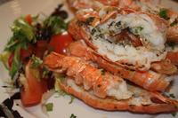 Hummer, ganz frisch!