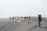 Spaziergang am Strand