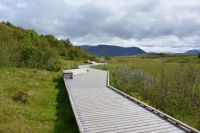 Tag 2 - Island - Thingvellir Nationalpark (6)