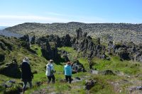 Tag 3 - Island - Strand Djúpalónassandur (1)