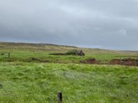 Tag 4 - Island - Islandpferde (2)