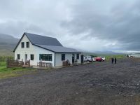 Tag 4 - Island - Islandpferde (3)