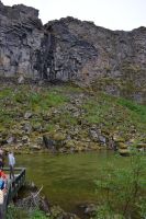 Tag 5 - Island -  Asbyrgi-Schlucht (1)