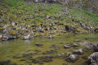 Tag 5 - Island -  Asbyrgi-Schlucht (2)