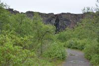 Tag 5 - Island -  Asbyrgi-Schlucht (5)