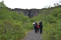 Tag 5 - Island -  Asbyrgi-Schlucht (6)