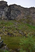 Tag 5 - Island -  Asbyrgi-Schlucht (7)