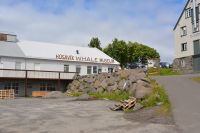 Tag 5 - Island - Husavik (2)