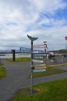 Tag 5 - Island - Husavik (5)
