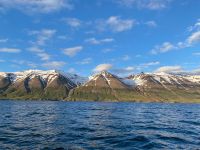 Tag 5 - Island - Walsafari (1)