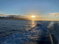 Tag 5 - Island - Walsafari (2)