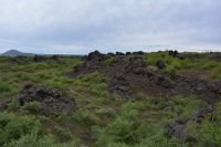 Tag 6 - Island - Dimmuborgir  (6)