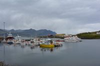 Tag 7 - Island - Ostfjorde (5)