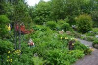 Tag 7 - Island - Petras Steinhaus (3)