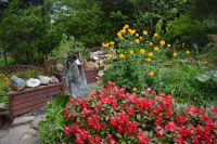 Tag 7 - Island - Petras Steinhaus (6)