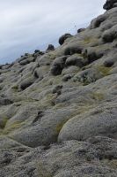 Tag 8 - Island - Lavafeld (4)