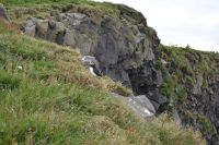 Tag 9 - Island - Dyrholaey  (7)