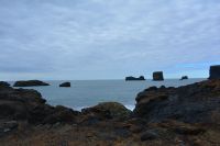 Tag 9 - Island - Dyrholaey  (9)