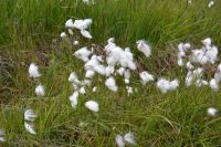 Tag 9 - Island - Seljalandsfoss  (5)