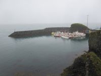 Hafen von Arnarstapi