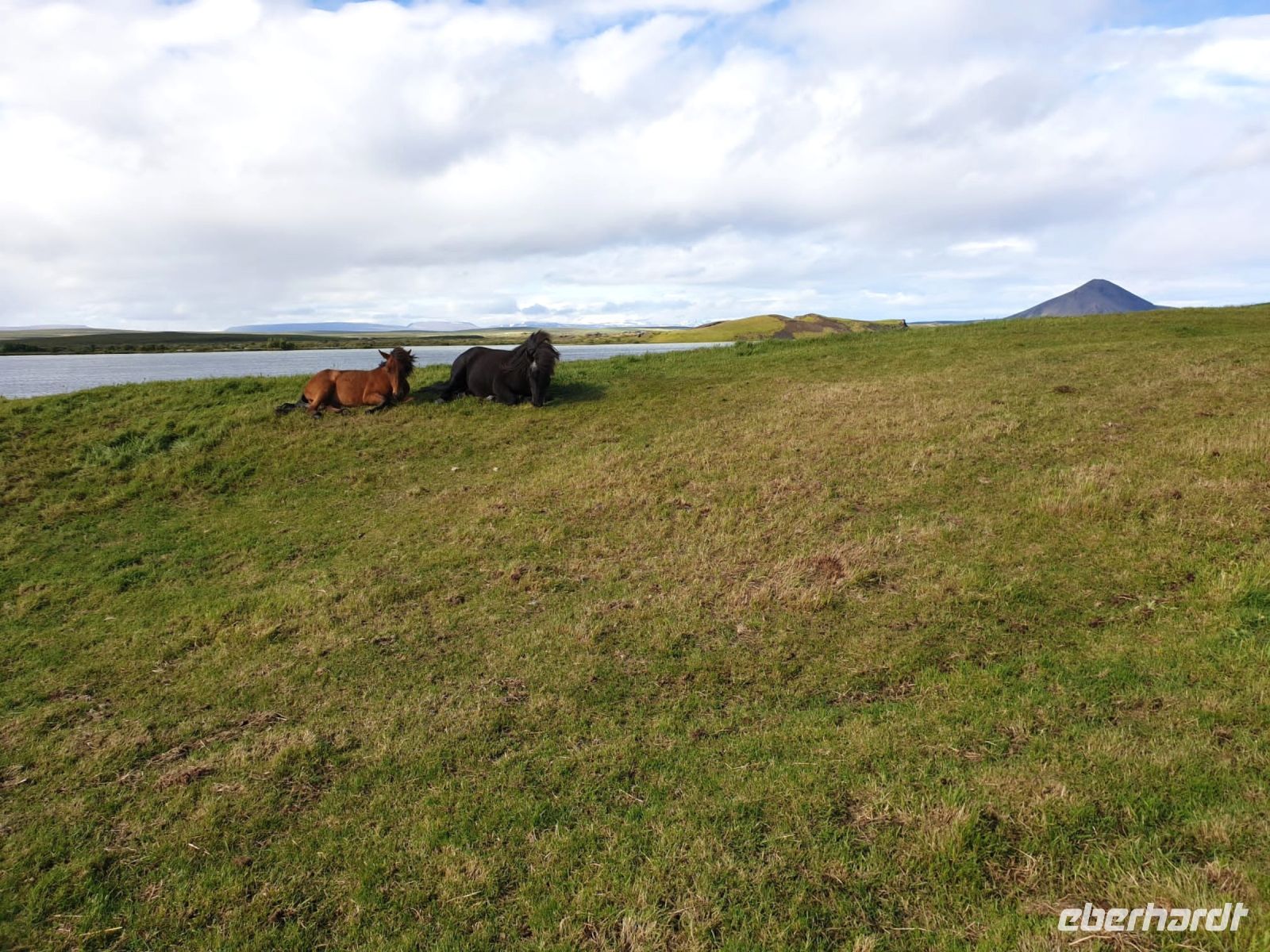 Nickerchen auf der Wiese