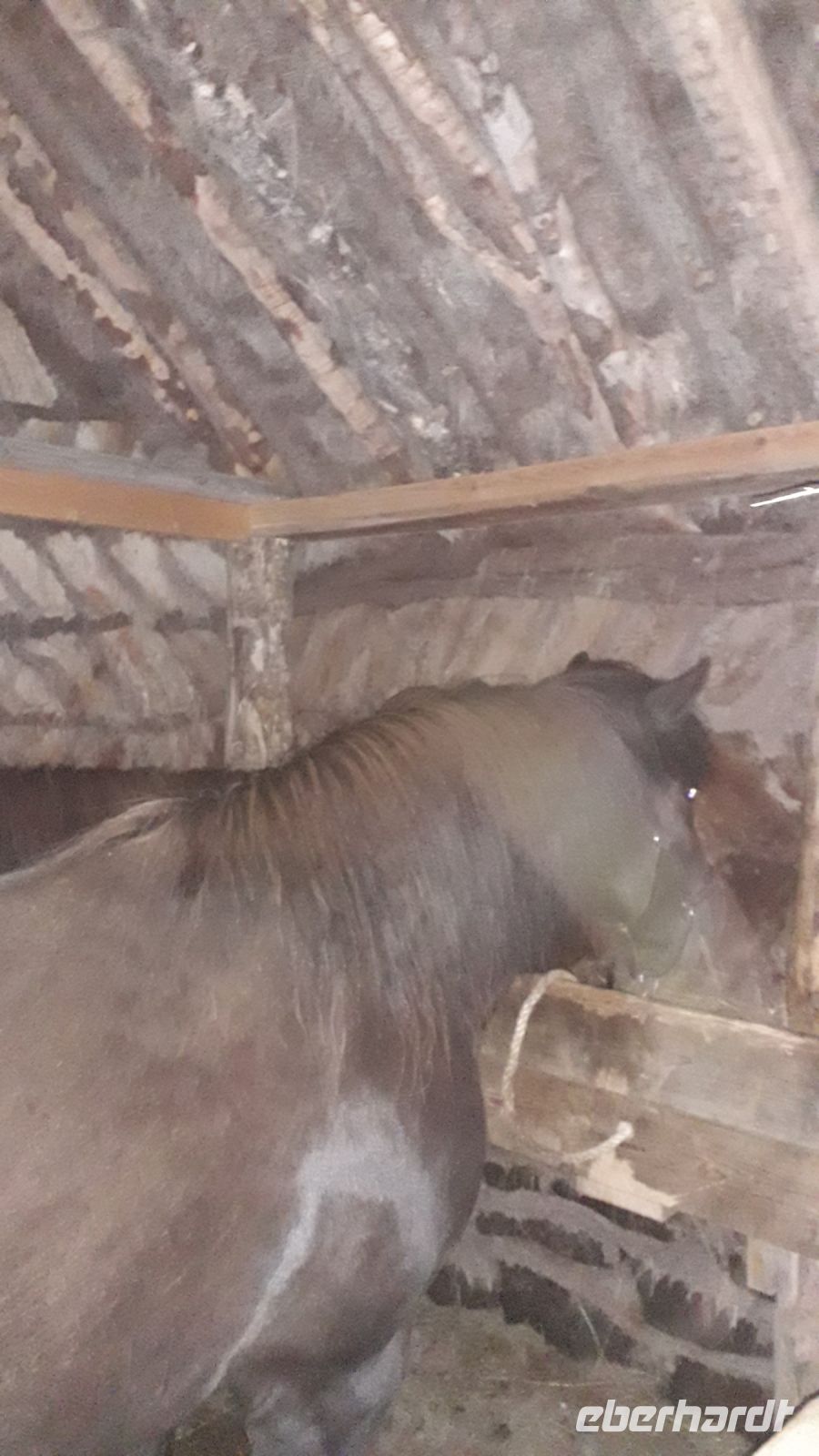 Ein Torfhaus von innen