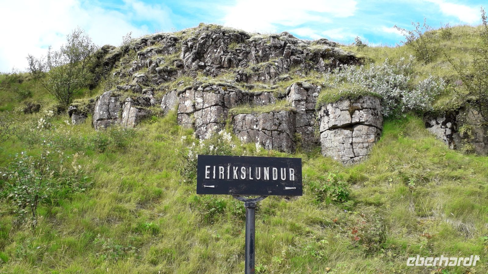 Der Weg zu dem Birkenwäldchen