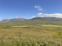 Weiterfahrt zum Pferdehof