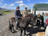 Vorführung auf dem Pferdehof
