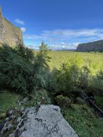Rundgang durch die Asbyrgi Schlucht