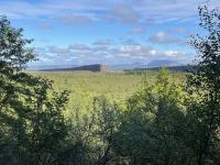 Rundgang durch die Asbyrgi Schlucht