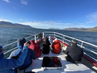 Whale-Watching Tour
