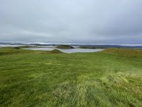 Rundgang am Pseudogratern - Myvatn (Mückensee)