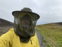 Rundgang am Pseudogratern - Myvatn (Mückensee)