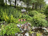 Rundgang durch Petras Steinhaus 