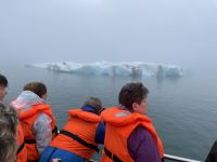 Fahrt mit einem Amphibienfahrzeug in der Gletscher Lagune