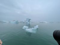 Fahrt mit einem Amphibienfahrzeug in der Gletscher Lagune