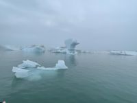 Fahrt mit einem Amphibienfahrzeug in der Gletscher Lagune