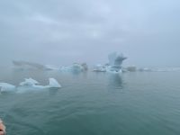 Fahrt mit einem Amphibienfahrzeug in der Gletscher Lagune