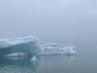 Fahrt mit einem Amphibienfahrzeug in der Gletscher Lagune