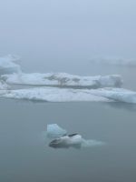 Blick auf die Gletscher Lagune